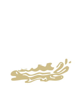 AL KAMAR HARBOUR LAUNCH SERVICE